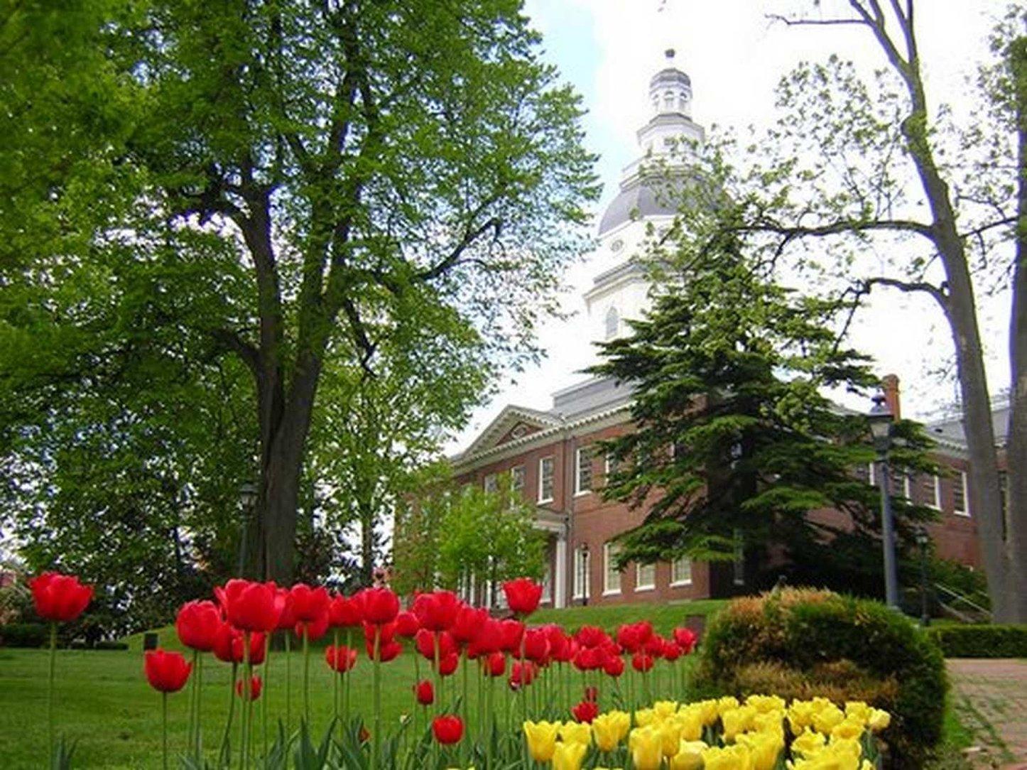 Hampton Inn & Suites Annapolis Buitenkant foto
